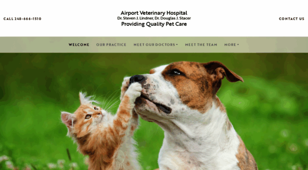 airportvethospital.com