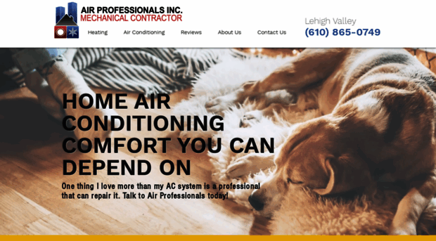 airprofessionalsinc.com