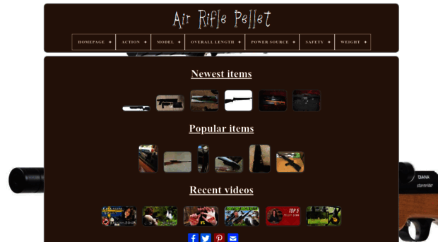 airriflebullet.com