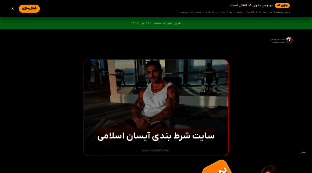 aisaneslami.net