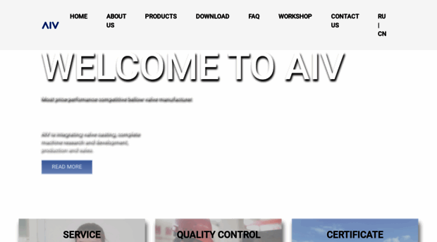 aivvalve.com