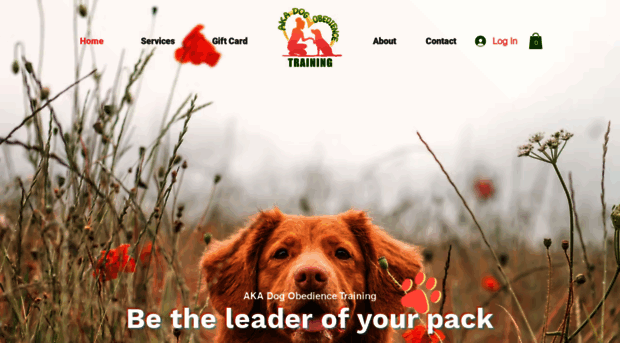 akadogtrainingnow.com