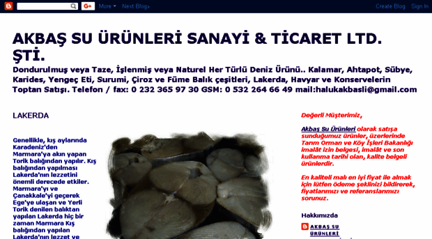 akbassuurunleri.blogspot.com