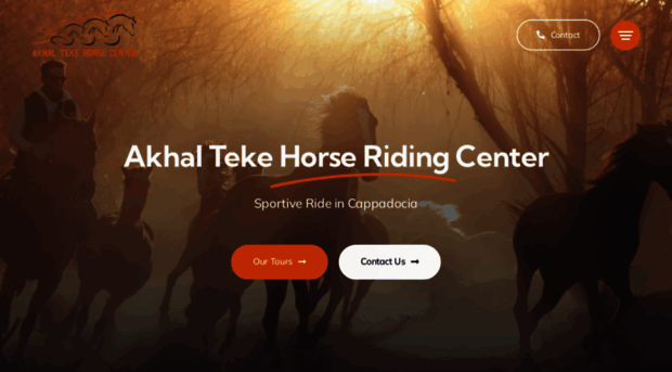 akhal-tekehorsecenter.com