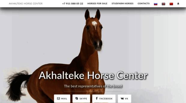 akhalteke-sale.com