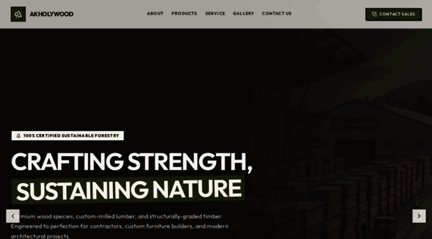 akholywood.com