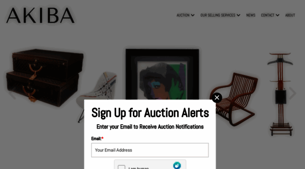 akibagalleries.com