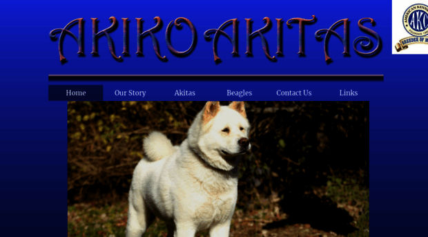 akikoakitas.com