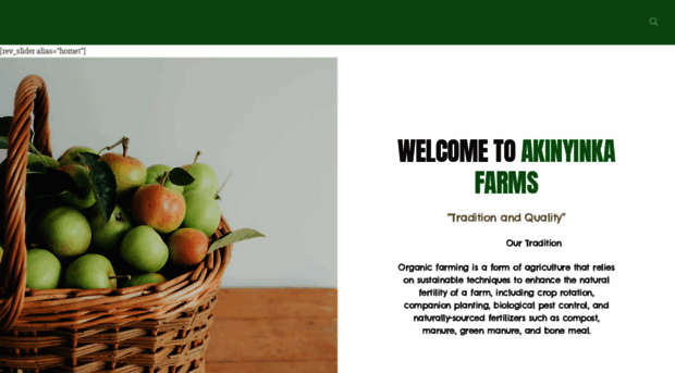 akinyinkafarms.com