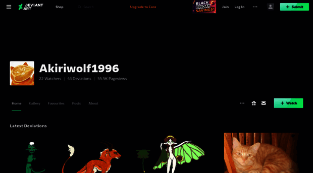 akiriwolf1996.deviantart.com