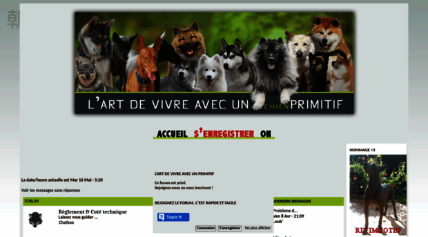 akita-primitifs.forumpro.fr