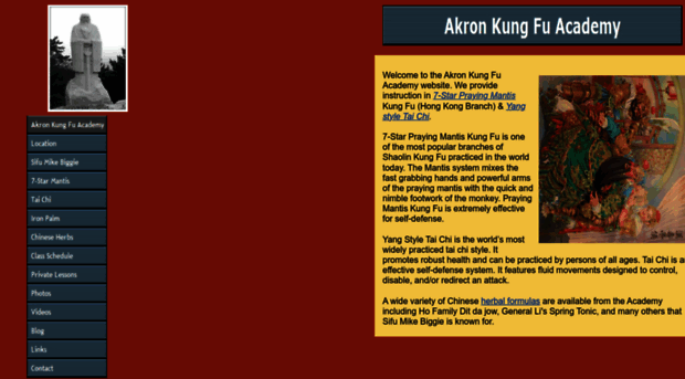 akronkungfu.com