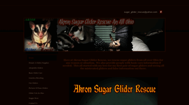 akronsugargliderrescue.weebly.com