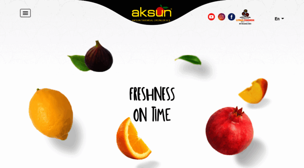 aksun.com.tr