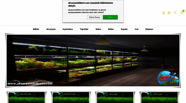 akvaryumbitkievi.com