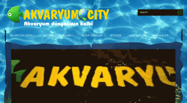 akvaryumcity.com
