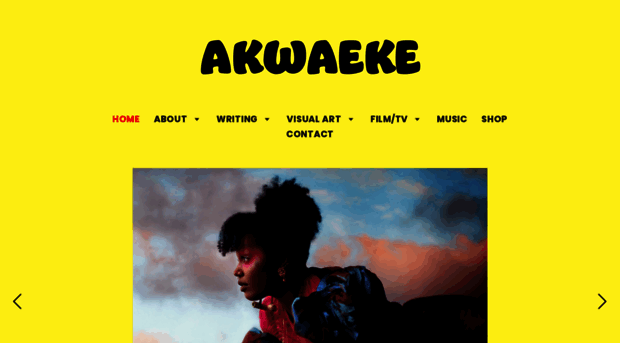 akwaeke.com