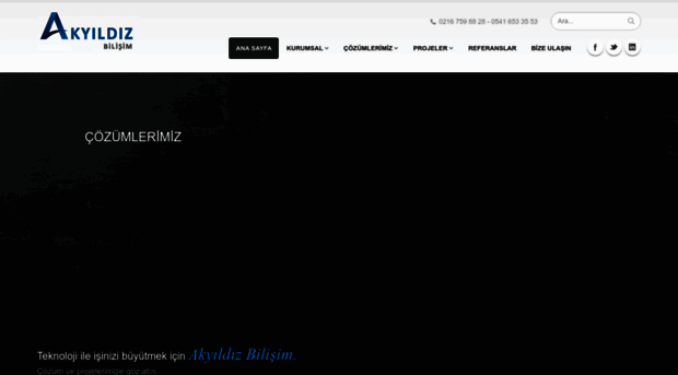 akyildizbilisim.com