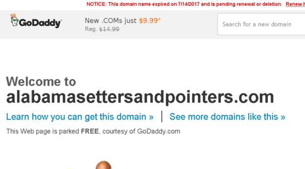 alabamasettersandpointers.com