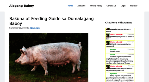 alagangbaboy.com