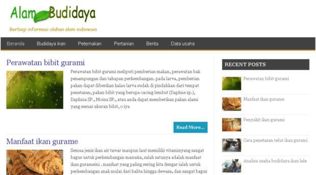 alambudidaya.com