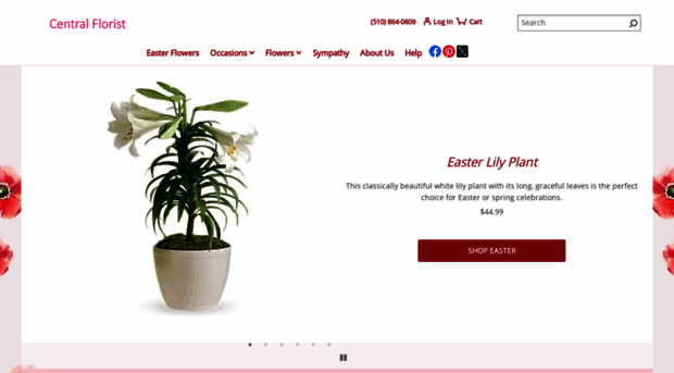alamedacentralflorist.com