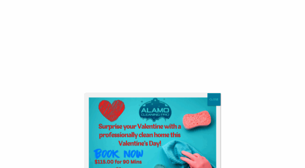 alamocleaningpro.com