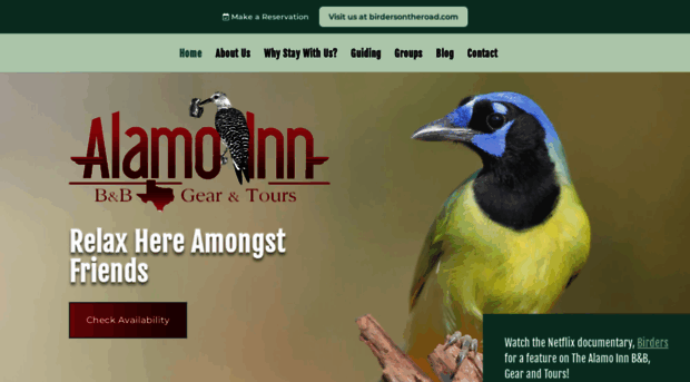 alamoinnbnb.com