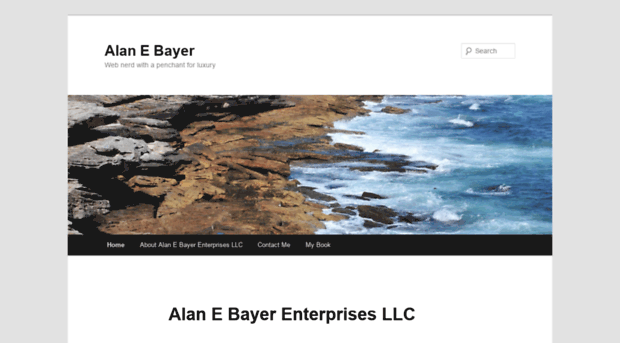 alanebayer.com