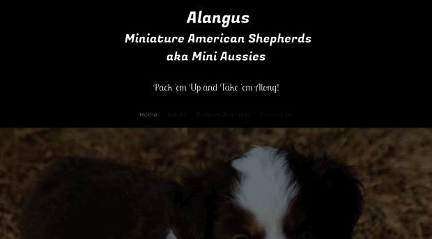 alangusaussies.com