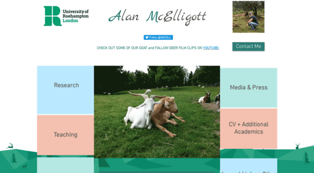 alanmcelligott.co.uk