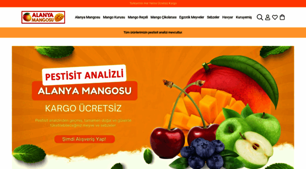 alanyamangosu.com.tr