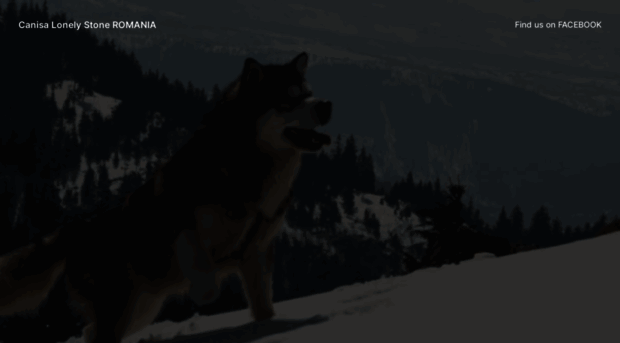 alaskanmalamute.ro