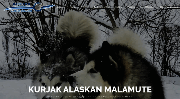 alaskanmalamute.rs