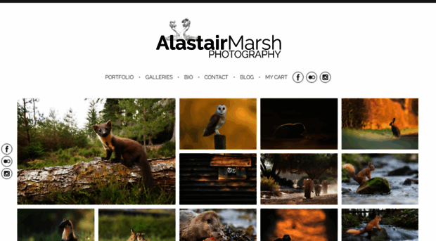 alastairmarshphotography.co.uk