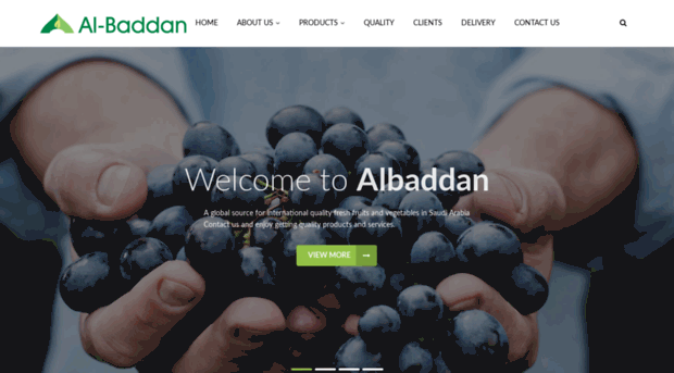 albaddan.com