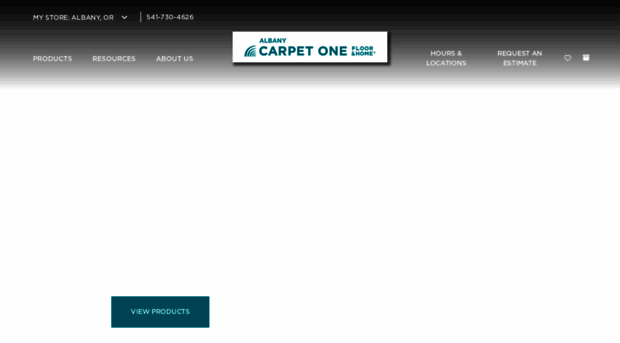 albanycarpetone.com