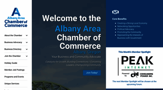 albanychamber.com