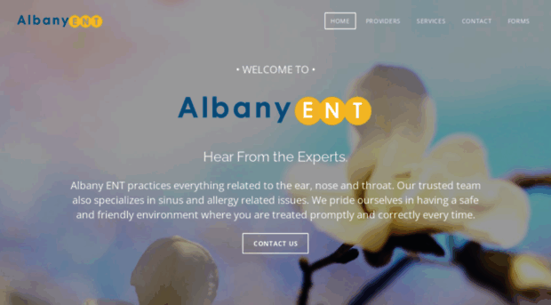 albanyent.org