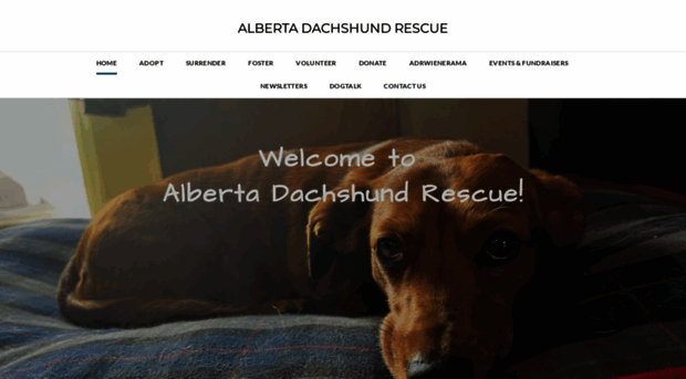 albertadachshundrescue.com