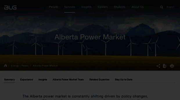 albertapowermarket.com