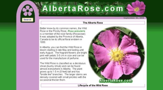 albertarose.com