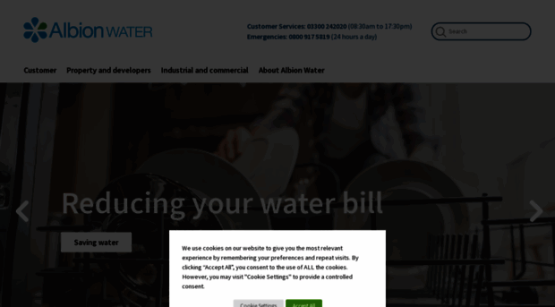 albionwater.co.uk
