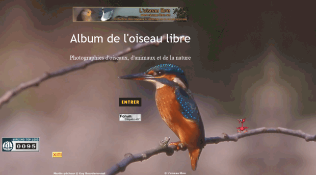 album.oiseau-libre.net