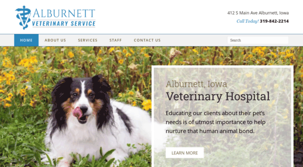 alburnettvet.com