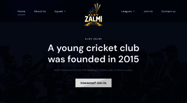 albycricket.com