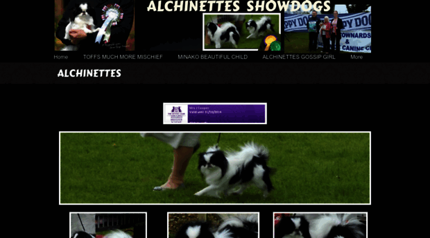 alchinettes.webs.com