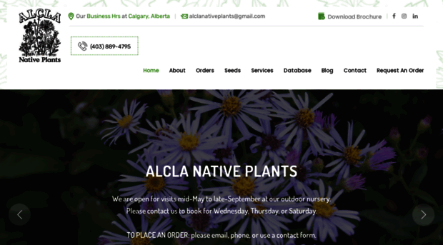 alclanativeplants.com