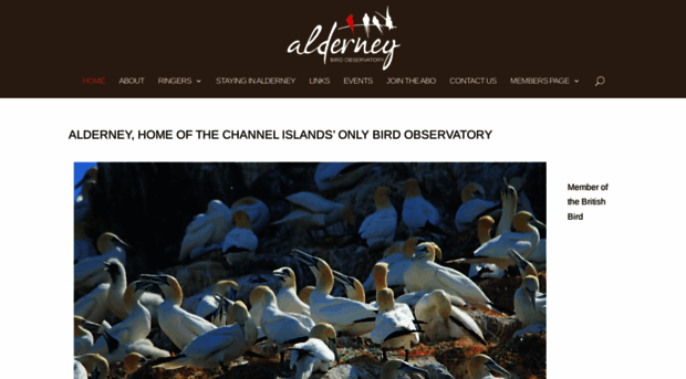 alderneybirdobservatory.org