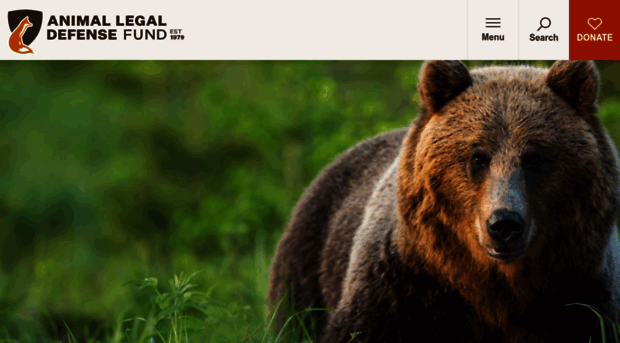 aldf.us